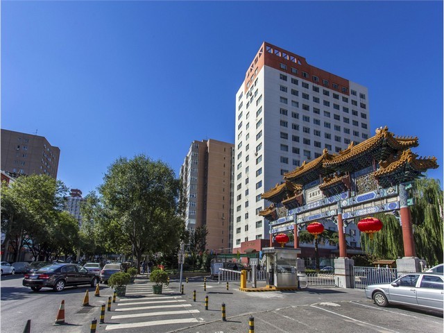 江汉区功能性草木种植服务电话