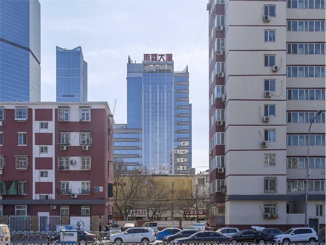 江汉区功能性草木种植服务电话